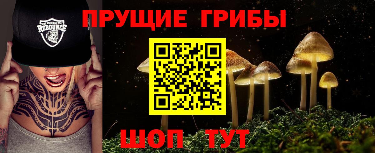 Знаменск  Галлюциногенные грибы ЛСД  Вход с VPN 