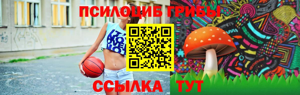 Псилоцибиновые грибы Magic Shrooms Знаменск